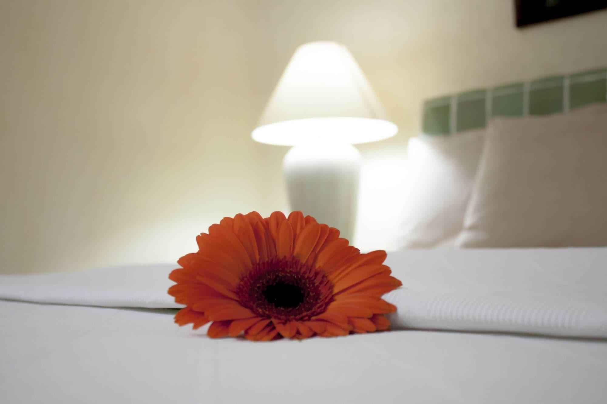 Coral Ixtapa Hotel Икстапа Екстериор снимка